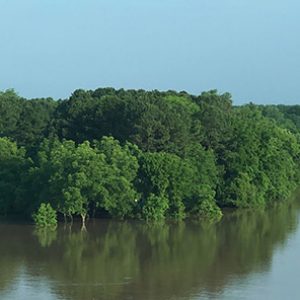 Wooded parkland along flooded river