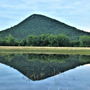 Tree-covered mountain and trees reflected in flood waters