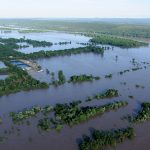 Flooded area with trees and two pools as seen from above