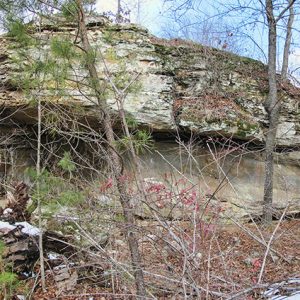 Overgrown area with rock outcropping