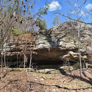 Cave entrance under rock outcropping in forested area