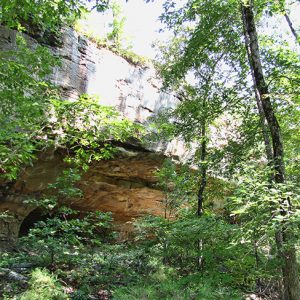 Cave entrance seen under rock wall through trees