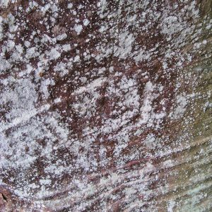 Cave wall with concentric circles chiseled into it