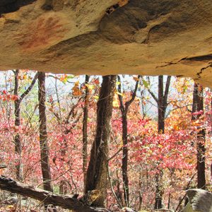 Painting of a circular object with rays on cave roof looking out into forest with trees with red leaves