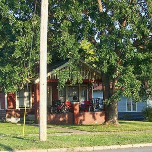 Row of single-story houses and tree on street