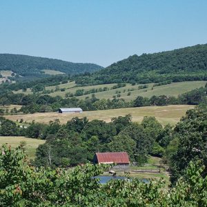 Tree and grass covered countryside with barns in the foreground