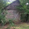 Overgrowth surrounding log smokehouse