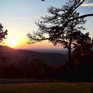 Sunset over mountain side with grass and trees in the foreground