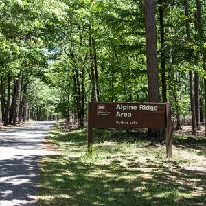 Single lane road in forested area with wooden "Alpine Ridge Area" sign on its right side