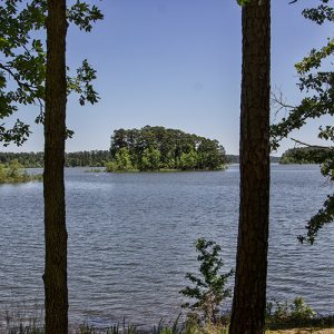 Looking through trees onto lake with islands and rippling water