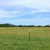 Barbed wire fence in green fields with trees in the background