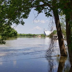 River as seen from under a tree with buildings on opposite shore