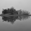 Tree covered mound on river shore