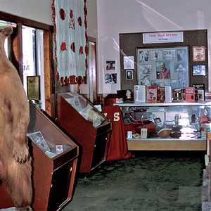 interior of small room with several display cases filled with various objects and an upright taxidermied bear