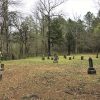 Weathered gravestones in cemetery with trees in the background