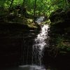 small waterfall in middle of dense green forest