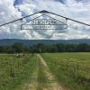 Iron arch with "Black fork Cemetery" sign hanging over overgrown dirt road with barbed wire fences and green fields on both sides