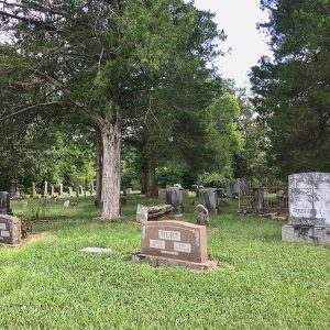 Weathered gravestones and trees in cemetery