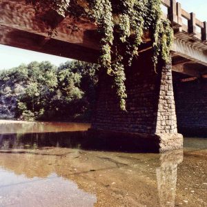 Close-up of vines hanging from concrete bridge over river