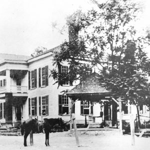 Horse tied to tree in front of two story building