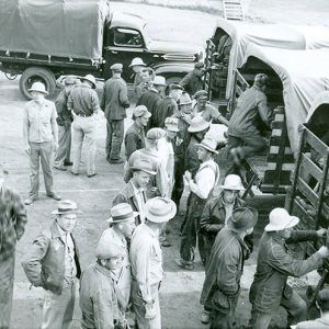 White men climing into the backs of covered trucks