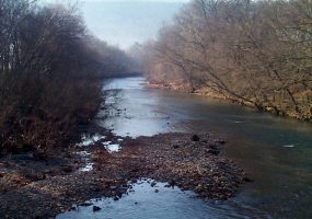 River with rocks in the foreground and trees on either side