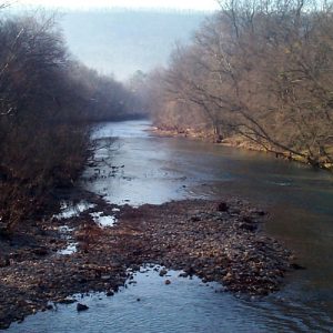 River with rocks in the foreground and trees on either side