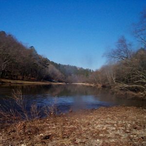 River with shore in trees in the background and shore in the foreground