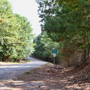 "Cale" road sign on paved rural road lined with trees