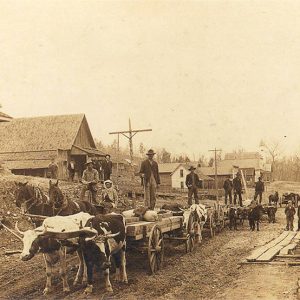 White men with ox-drawn wagons on dirt road lined with buildings with other multistory buildings in the background