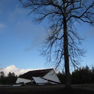 destroyed church building under tall tree