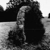 Tree growing next to stone arch structure in field