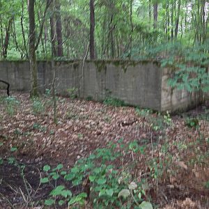 Concrete foundation walls in forested area