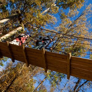 White tourists on suspended wooden walking bridge as seen from below