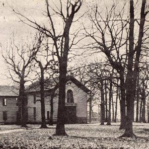 Multistory building behind trees