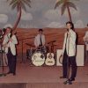 Five young white men in white jackets and black pants playing instruments on stage in front of a backdrop with palm trees