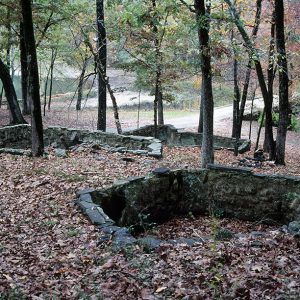 Pits with stone walls in woods next to road near a pond