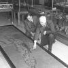 White man and older white man in suits looking at large reptile fossil with display cases behind them