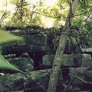 Overgrown cut stone structure in forest