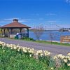 White flowers along walking path with pavilion and sign next to river with steel truss bridge over it in the distance