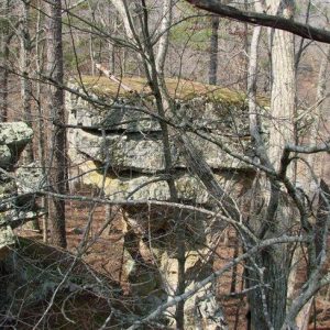 Side view of table like rock formation in forested area