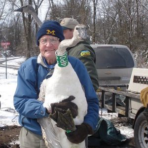 Old white man with glasses in winter clothing holding a swan with white man and van with trailer behind him on snowy road