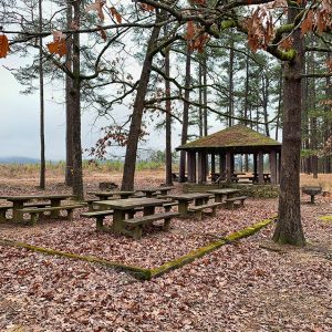 Picnic benches and pavilion in forested area