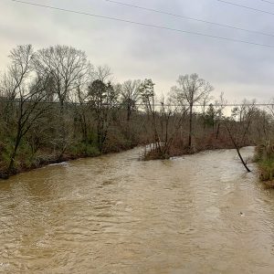 Flooded creek with rippled water and fork section