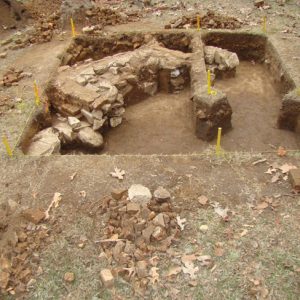 Dig site with excavated wall inside and yellow line markers