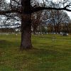 Trees and gravestones in cemetery