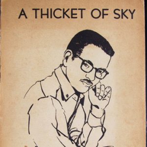 line drawing of white man with mustache and glasses on book cover