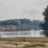 Looking across river from shore with tower above the trees in the background