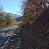 Elk crossing signs on highway with fall foliage and mountain in the background