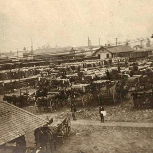 Wagons loaded with cotton bales at train depot